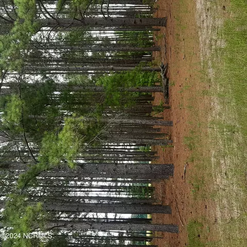 Lot 1 Nc Hwy 581, Bailey, NC 27807