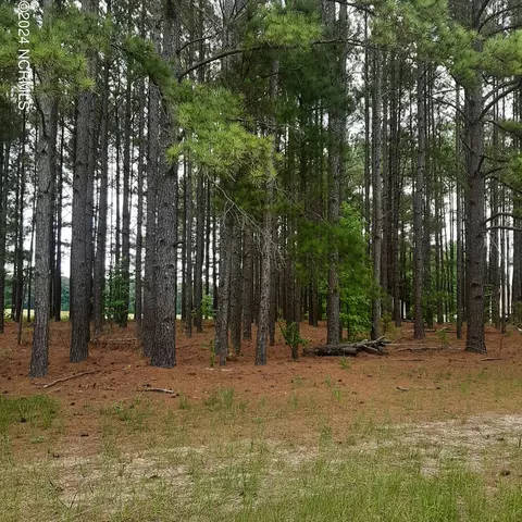 lot1 Nc Hwy 581, Bailey, NC 27807