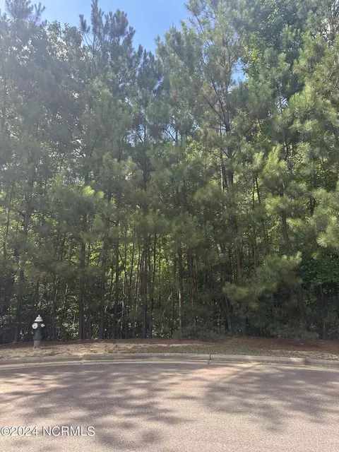 5 Hemlock Ct, Southern Pines, NC 28387