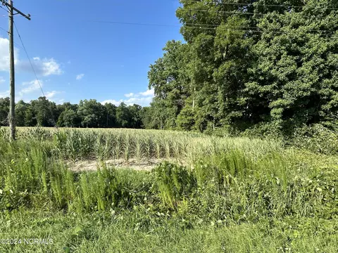 11289 Taylors Bridge Hwy Hwy, Magnolia, NC 28453