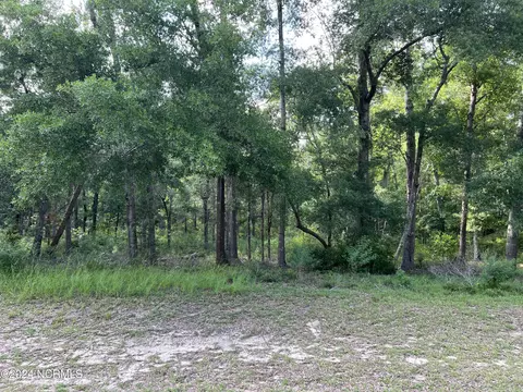 1891-1887 Healing Water Ln SW, Supply, NC 28462