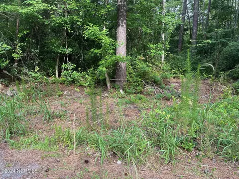 325 Fleming Ct, Hampstead, NC 28443 photo 3