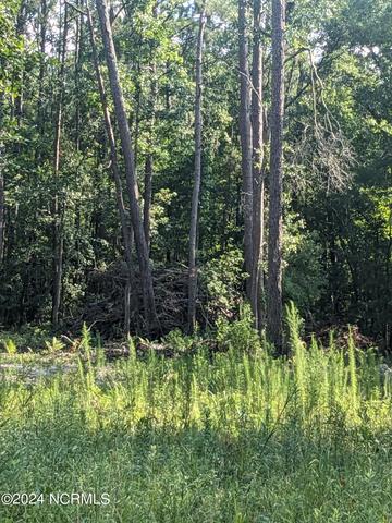 0 White Oak Dr, Burgaw, NC 28425