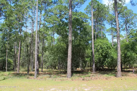 2922 Ladauphine Ln SE, Bolivia, NC 28422