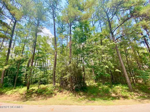 lot Apt 11 Bee Tree Ln, Wagram, NC 28396