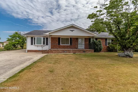 135 Dale Rd, Mount Olive, NC 28365