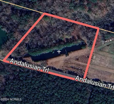 000 Andalusian Trl, Burgaw, NC 28425