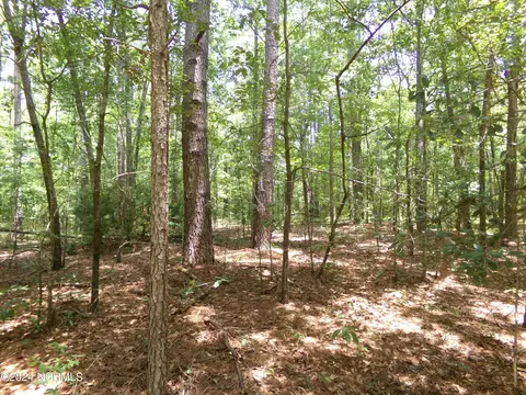 19400 Arch Mcleod Road, Laurinburg, NC 28352