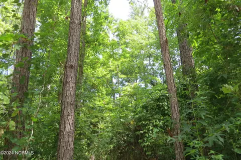 501 Audubon Dr, Oriental, NC 28571 photo 18