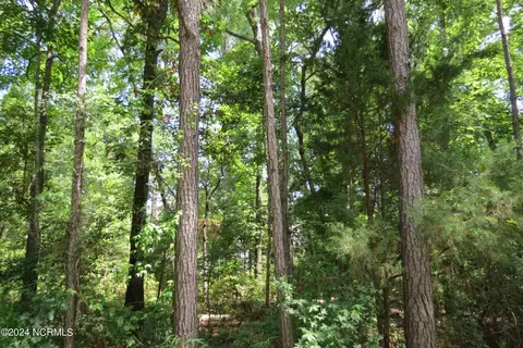501 Audubon Dr, Oriental, NC 28571 photo 19