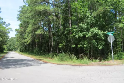 501 Audubon Dr, Oriental, NC 28571 photo 13