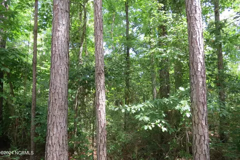 501 Audubon Dr, Oriental, NC 28571 photo 17