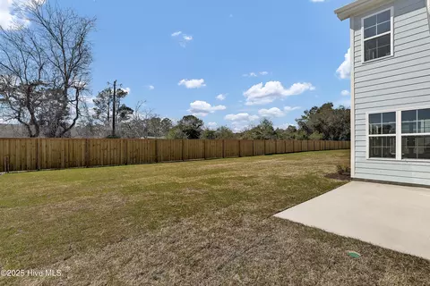 146 Planters Walk, Hampstead, NC 28443 photo 48