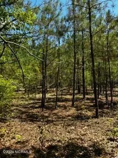 0 Wiley Gaskins Nc 118, Grifton, NC 28530