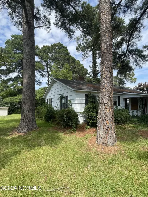 211 E Station St, Mount Olive, NC 28365 photo 11