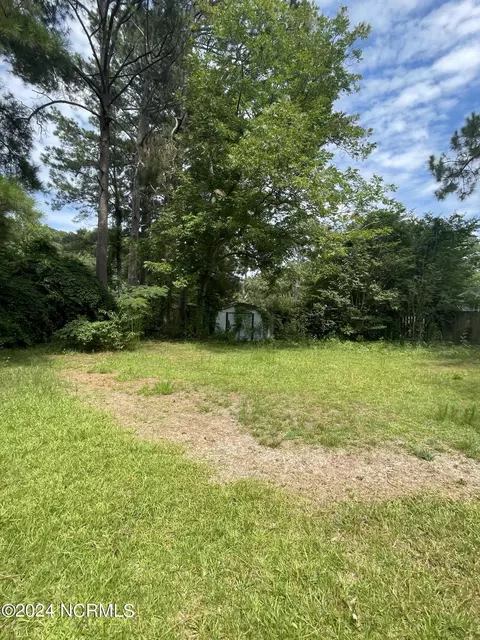 211 E Station St, Mount Olive, NC 28365 photo 13