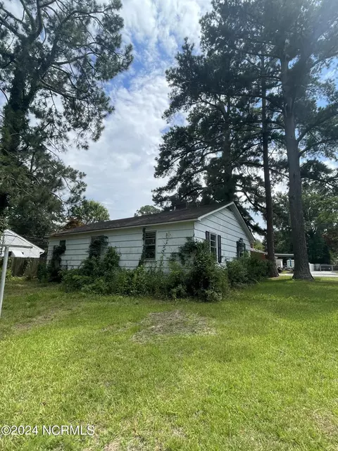 211 E Station St, Mount Olive, NC 28365 photo 12