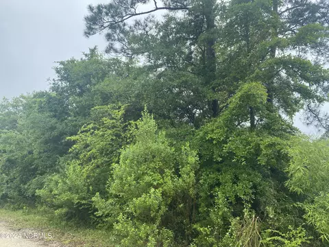 lot233 Westwood Rd, Boiling Spring Lakes, NC 28461