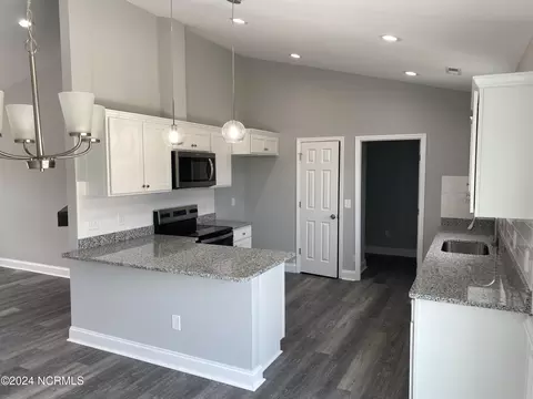 3040 Condor Ct, Deep Run, NC 28525 photo 14
