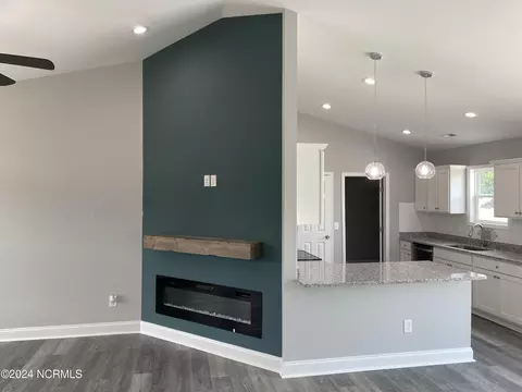 3040 Condor Ct, Deep Run, NC 28525 photo 17