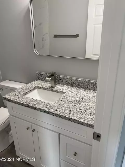 3040 Condor Ct, Deep Run, NC 28525 photo 49