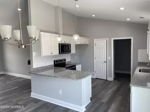 3040 Condor Ct, Deep Run, NC 28525 photo 15