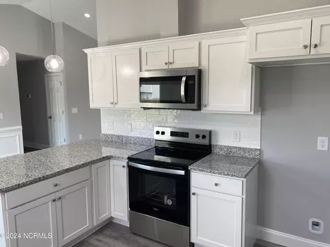 3040 Condor Ct, Deep Run, NC 28525 photo 20