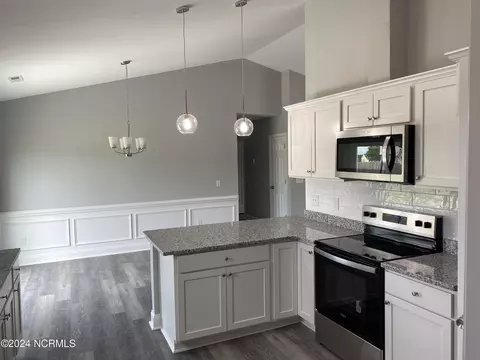 3040 Condor Ct, Deep Run, NC 28525 photo 23