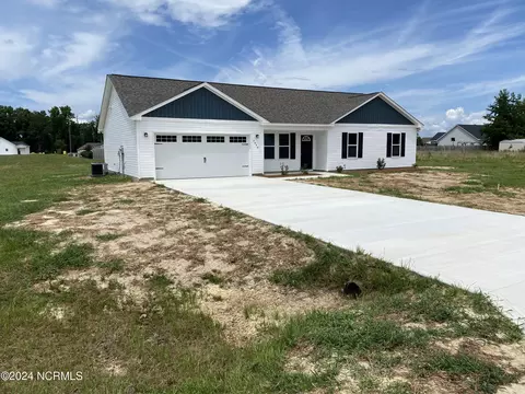 3040 Condor Ct, Deep Run, NC 28525 photo 3