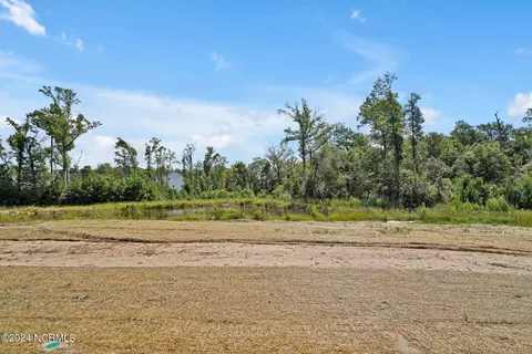 View/Area - 495 Grandview Dr, Hampstead, NC 28443 photo 4 of 12