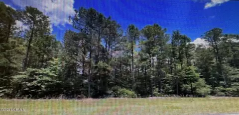 tbd Marks Creek Church Rd, Hamlet, NC 28345