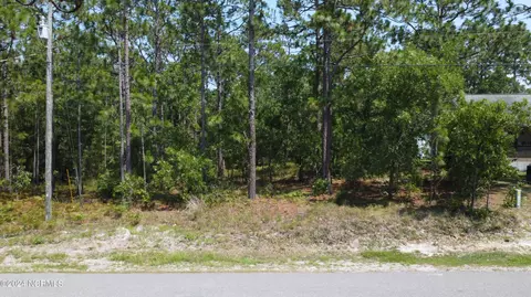 650 660 Prospect Rd, Boiling Spring Lakes, NC 28461 photo 4