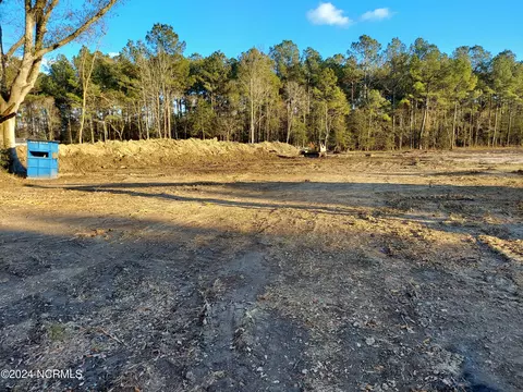 0 Shiloh Rd, Ivanhoe, NC 28447 photo 6