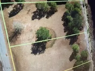 266 S Horsepen Rd, Harrells, NC 28444