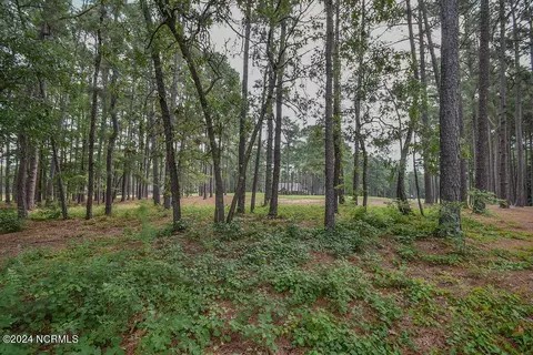 4 Laggan Ct, Pinehurst, NC 28374 photo 5