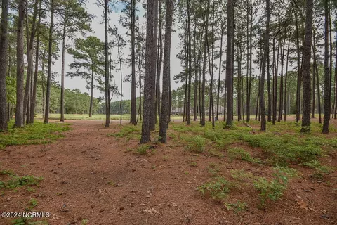 4 Laggan Ct, Pinehurst, NC 28374 photo 12
