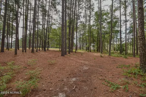 4 Laggan Ct, Pinehurst, NC 28374 photo 13