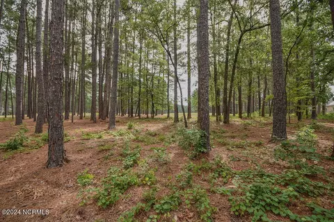 4 Laggan Ct, Pinehurst, NC 28374 photo 15