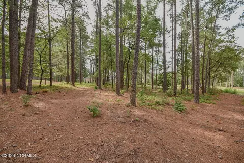 4 Laggan Ct, Pinehurst, NC 28374 photo 14