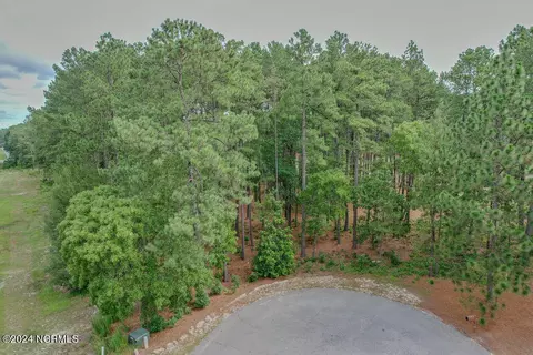 4 Laggan Ct, Pinehurst, NC 28374 photo 18