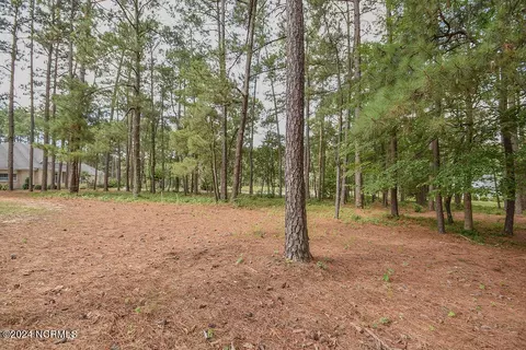 4 Laggan Ct, Pinehurst, NC 28374 photo 10