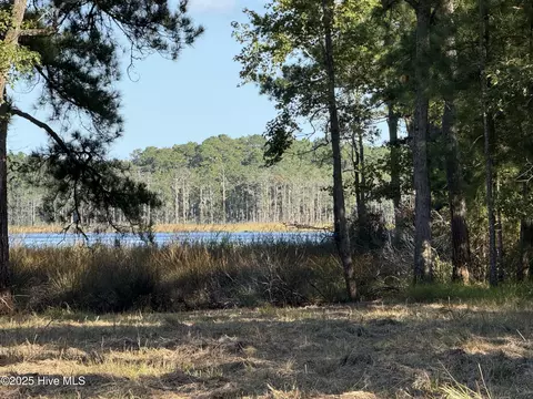 39 Sunset Rd, Belhaven, NC 27810 photo 4