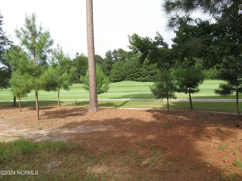 142 Pilot House Dr, Wallace, NC 28466 photo 20