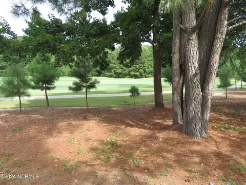 142 Pilot House Dr, Wallace, NC 28466 photo 18