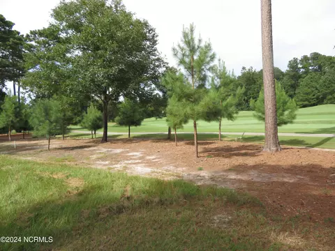 142 Pilot House Dr, Wallace, NC 28466 photo 21
