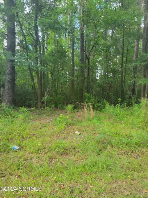 tbd Hendersonville St, Hamlet, NC 28345