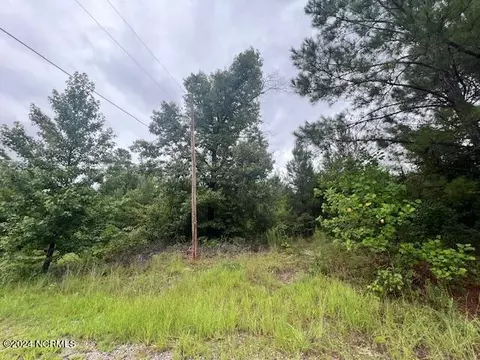 tbd Boykin Ln, Laurinburg, NC 28352