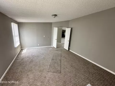 110 Brandy Ave, La Grange, NC 28551 photo 9