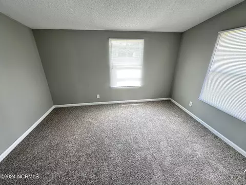 110 Brandy Ave, La Grange, NC 28551 photo 13