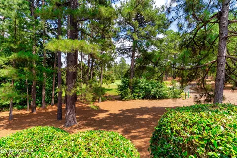 Other - 25 Wellington Dr, Pinehurst, NC 28374 photo 14 of 16